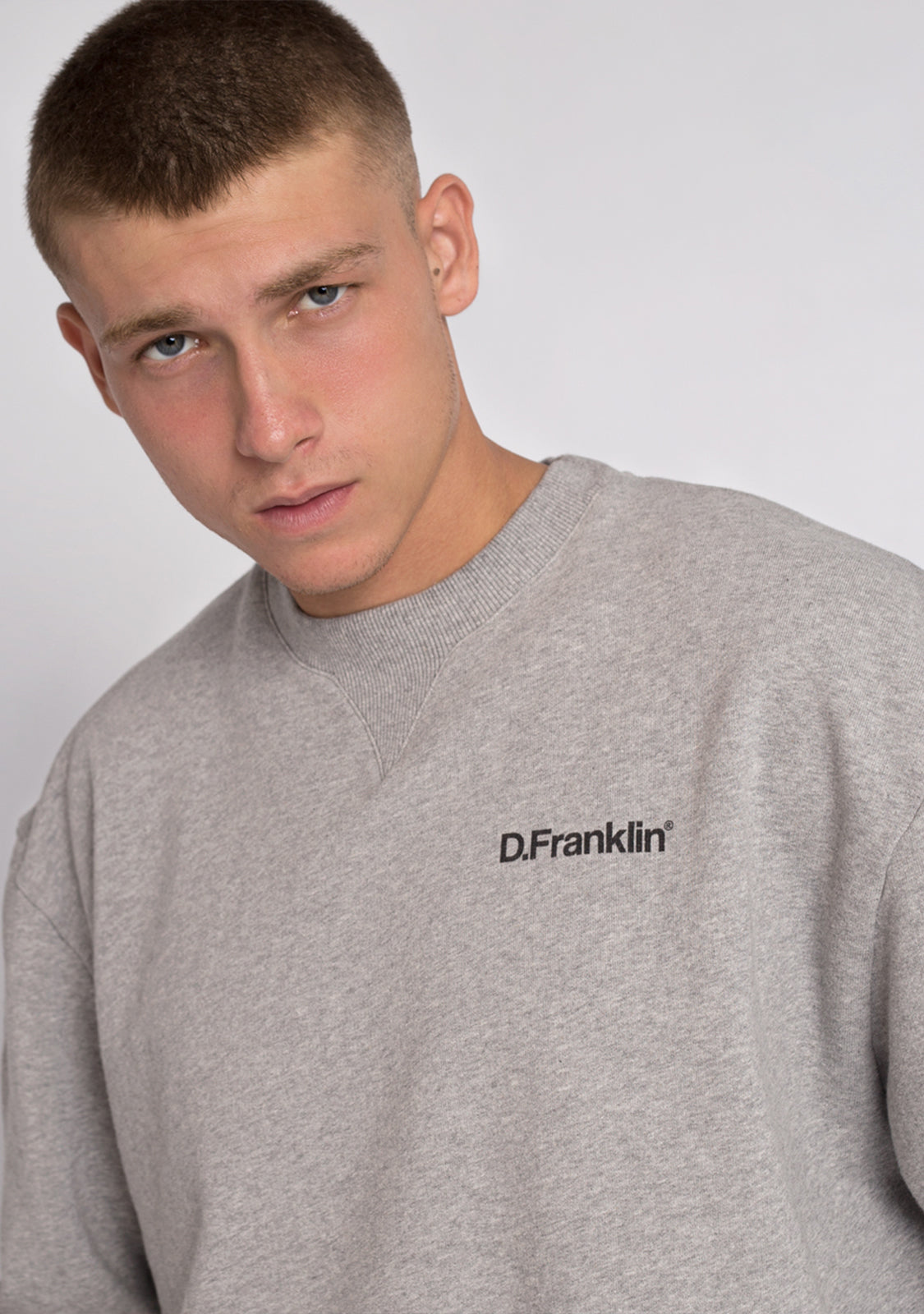 Sweatshirt Oversized D.Franklin Basic Grey