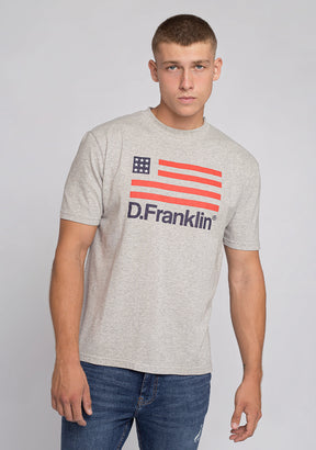 T-Shirt D.Franklin Flag Grey