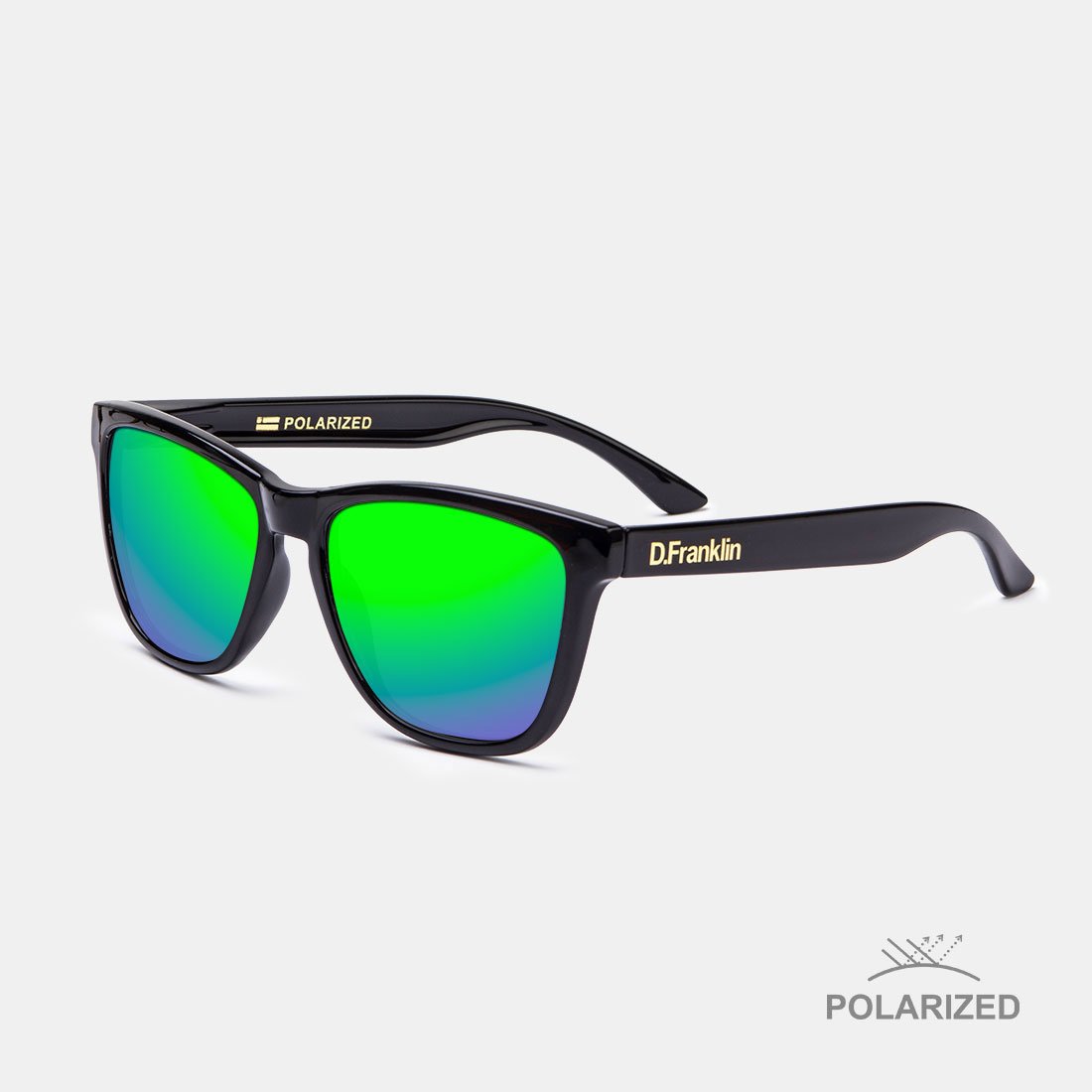 Roosevelt Shiny Black / Green Polarized