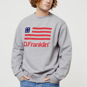 USA Sweatshirt Grey