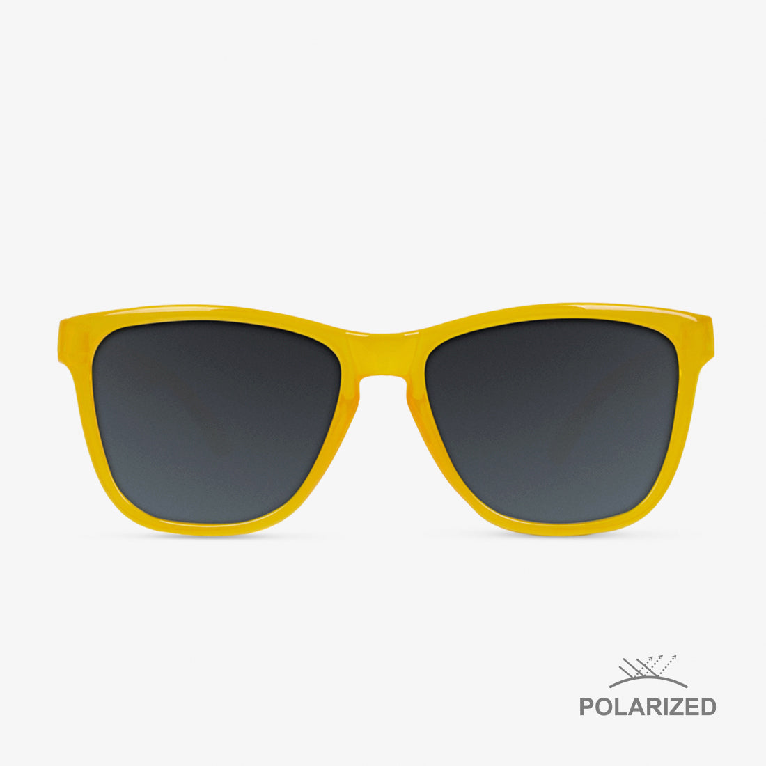 Roosevelt Amber / Black Polarized